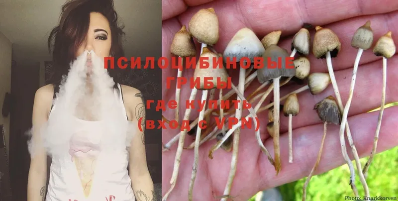 OMG зеркало  Нижнекамск  Галлюциногенные грибы MAGIC MUSHROOMS  где найти наркотики 