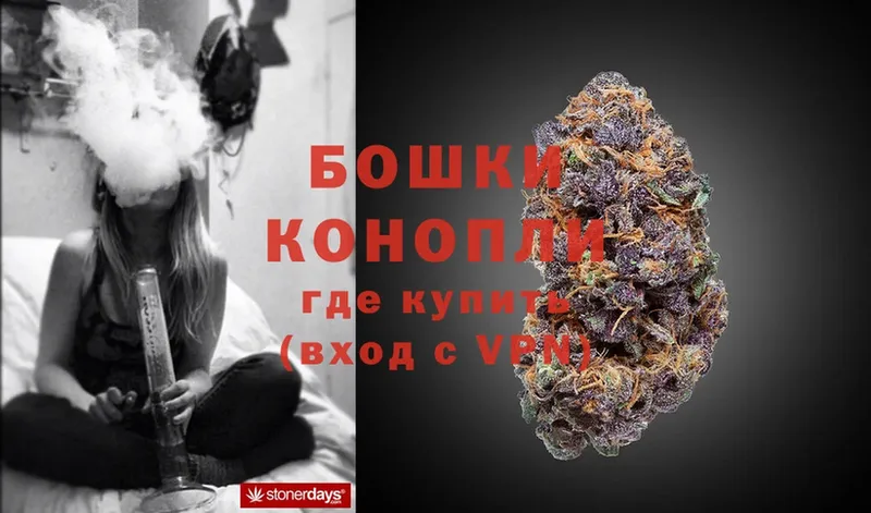 Бошки марихуана конопля  продажа наркотиков  Нижнекамск 